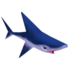 🦈