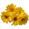 💐