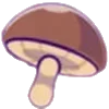 🍄
