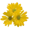💐