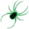 🕷