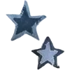 🌟