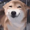 🤩