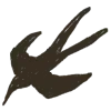 🕊️