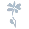 🌸