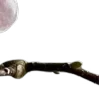 ⭐