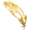 🐤