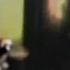 🤩
