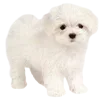 🐶