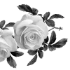 🌹