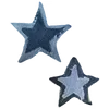 🌟