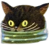 🐱