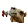 👍