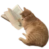 ⌛️