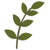 🌿