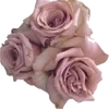 🌹