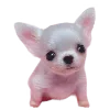 🐶
