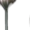 ⭐