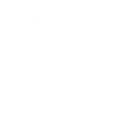 🐘