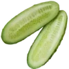 🌱