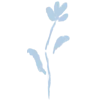 🌺