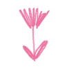 🌷