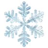 ❄️