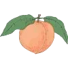 🍑