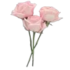 💐
