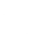🐘