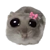 🎀