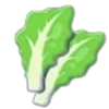 🌱