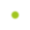 🟢