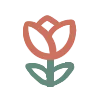 🌷