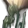 ⭐