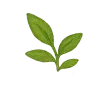 🌿