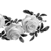 🌹