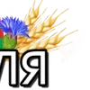 🟩