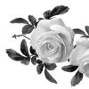 🌹