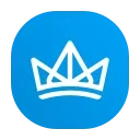 👑
