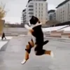 🤩