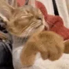 ➡️