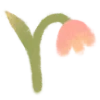 🌷