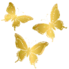 🦋