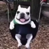 🤩