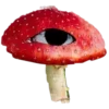 🍄