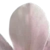 ⭐