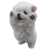 🐾