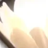 ⭐
