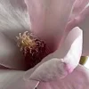 ⭐